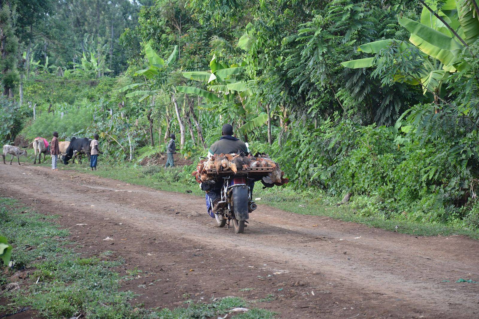 African Pool Trail Experience