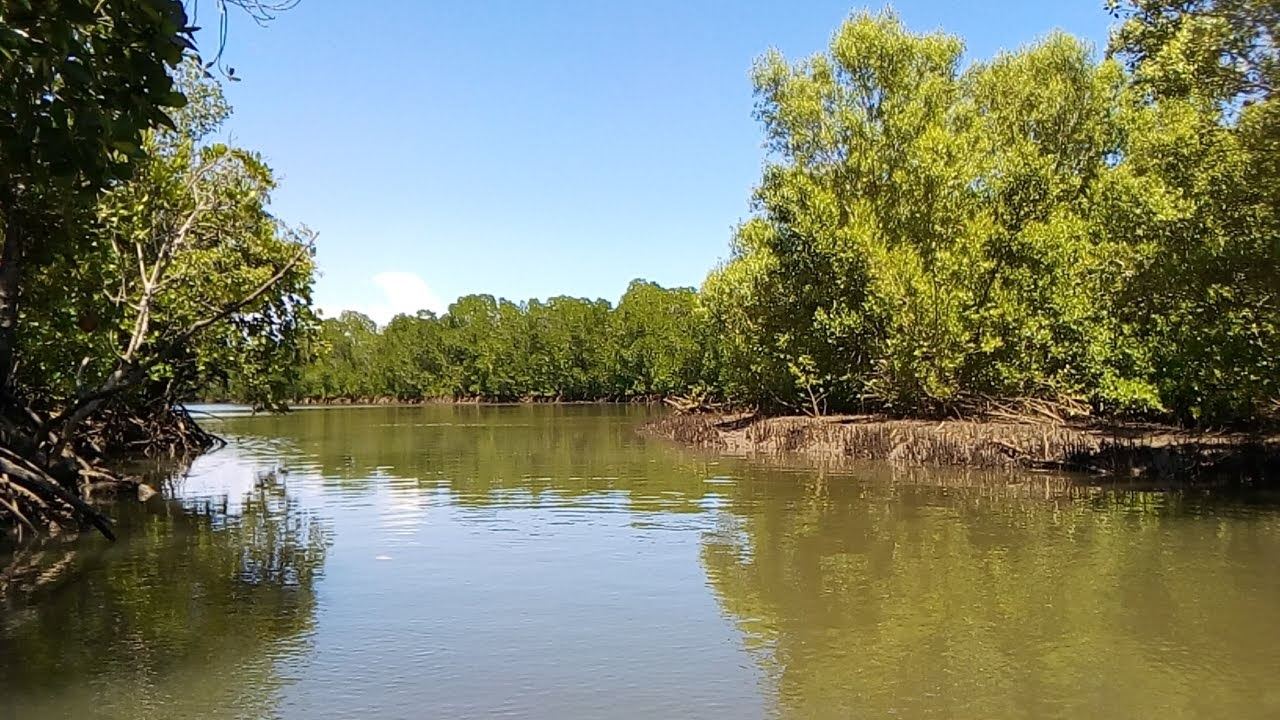 Funzi Island Day Trip
