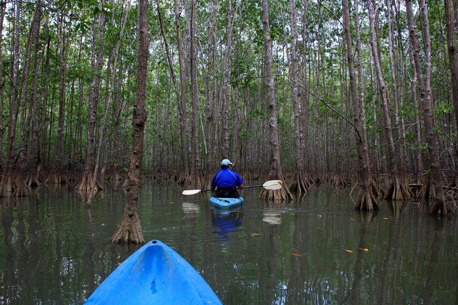Kongo River Sunset Canoe